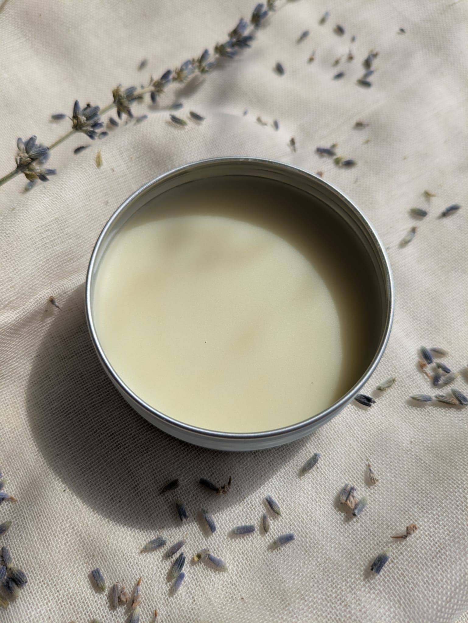 Manna Tallow - Wholesale Body Balm/Butter - Manna Tallow Balm Lavender 2oz5