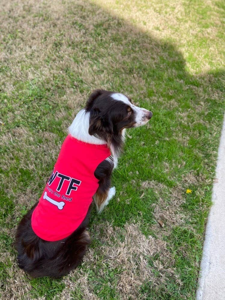 Parisian Pet® - Vente Chemise – chien - T-shirt Chien WTF – Tee-shirt Amusant & Tendance pour Animaux5