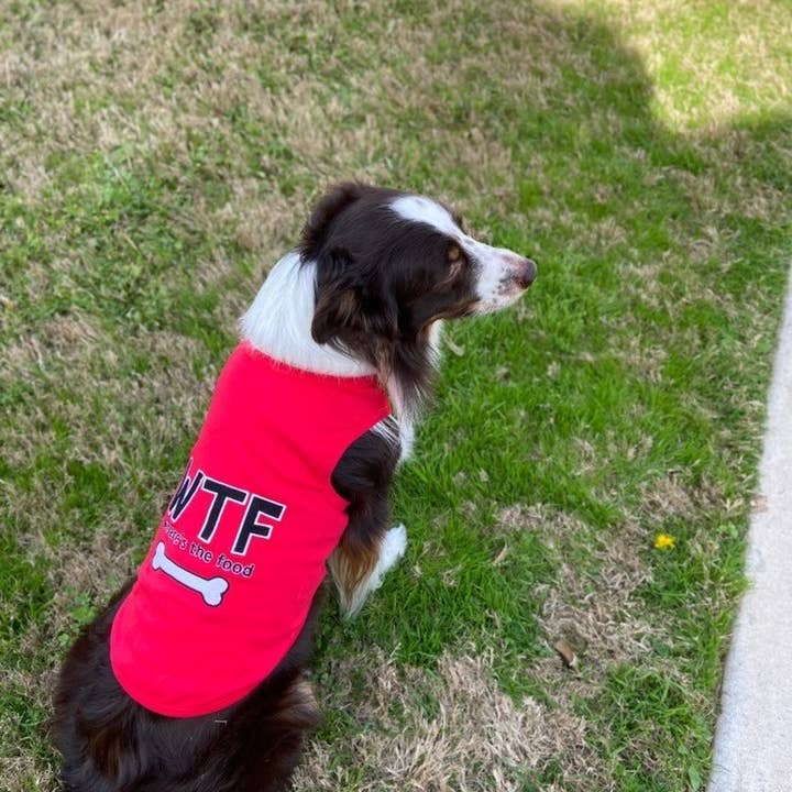 Parisian Pet® – wholesale Tröja - Hund – WTF Hund T-shirt – Rolig & Trendig Statement T-shirt för Husdjur5