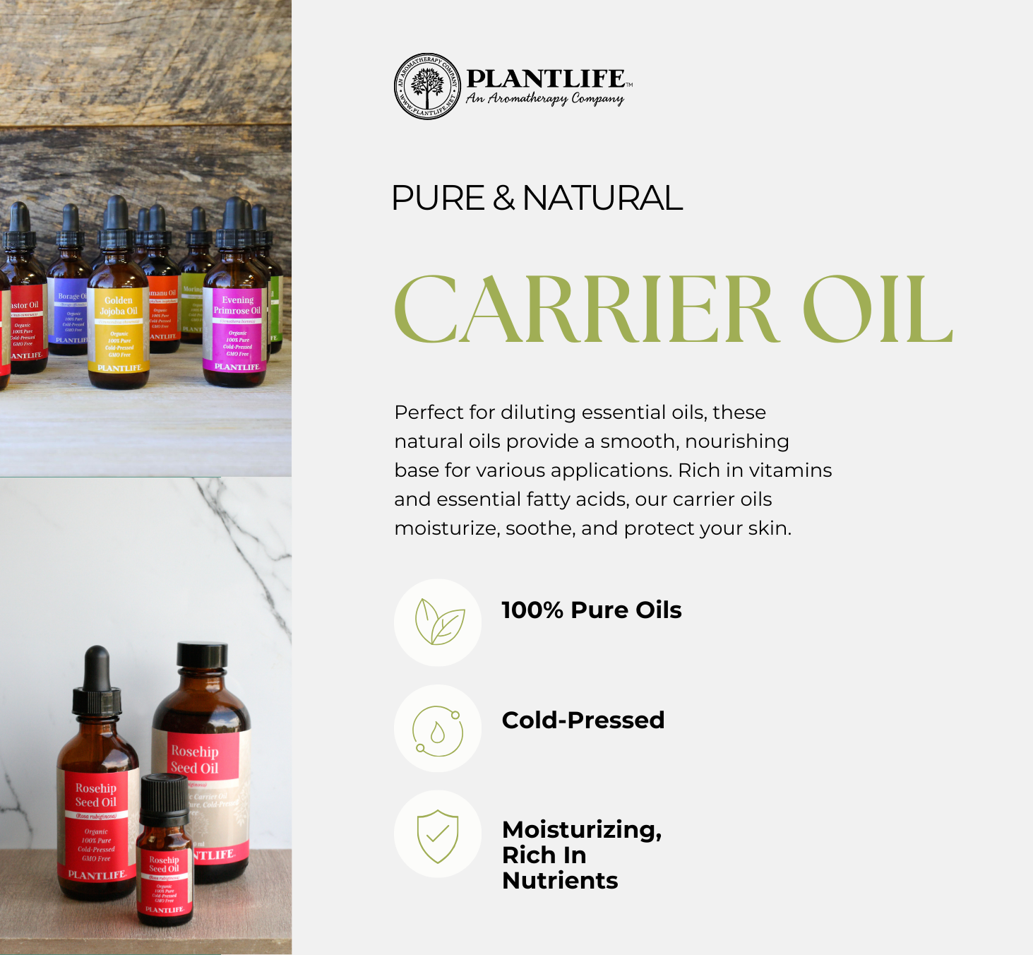 Plantlife – wholesale Bath/body oil – Apricot Kernel Oil 2 oz3