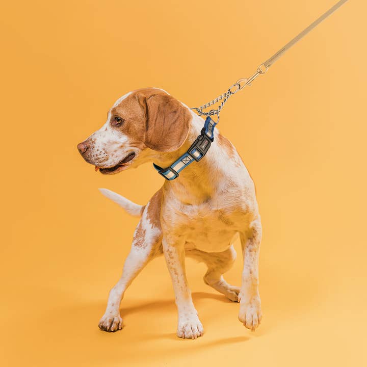 Dogline - Wholesale Pet Collar - Dog - Reflective Biothane Martingale Collar with Quick Release Buckle