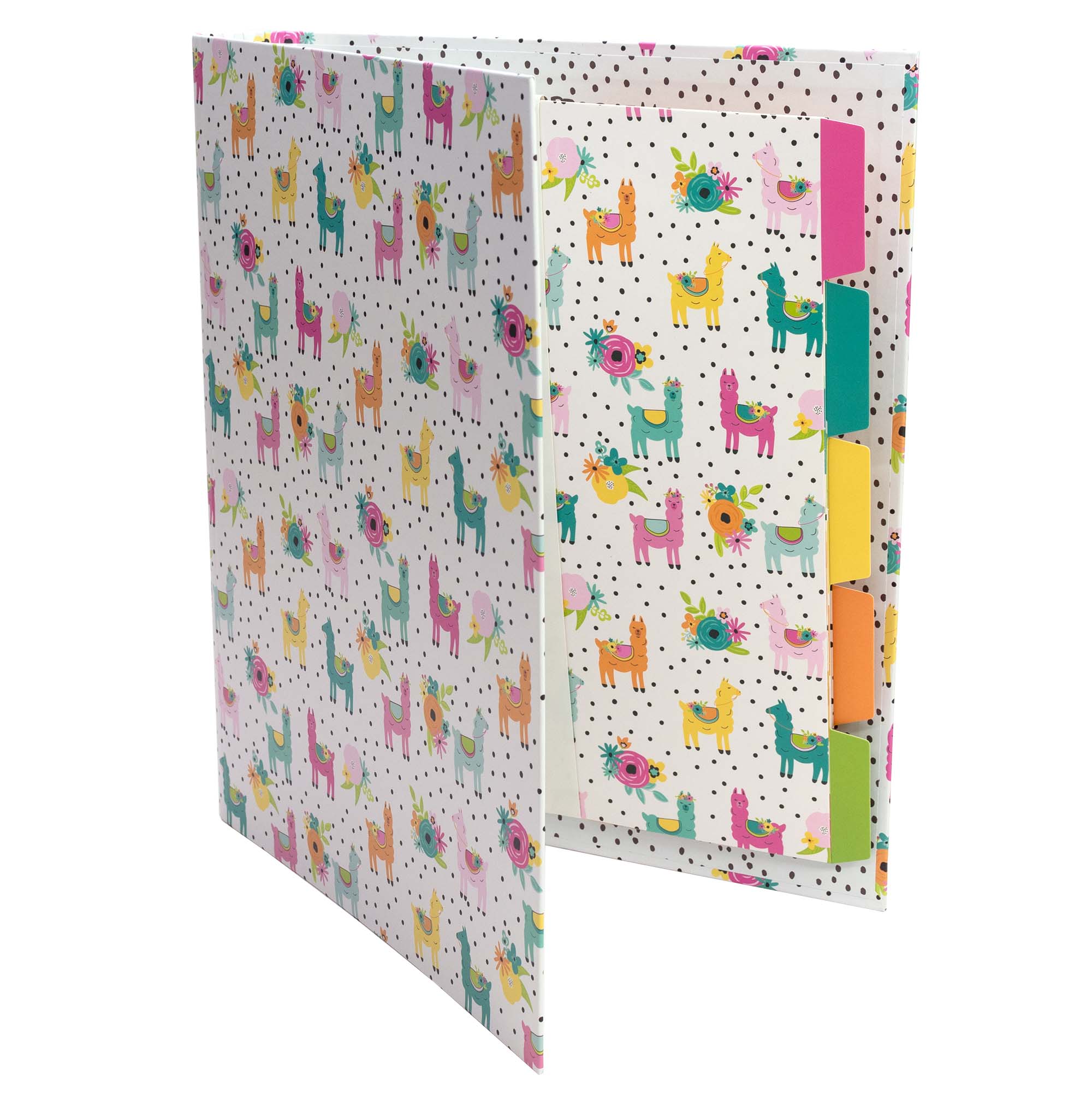 Pukka Pads North America - Wholesale Binder - Carpe Diem Preloaded Rollbound Binder11