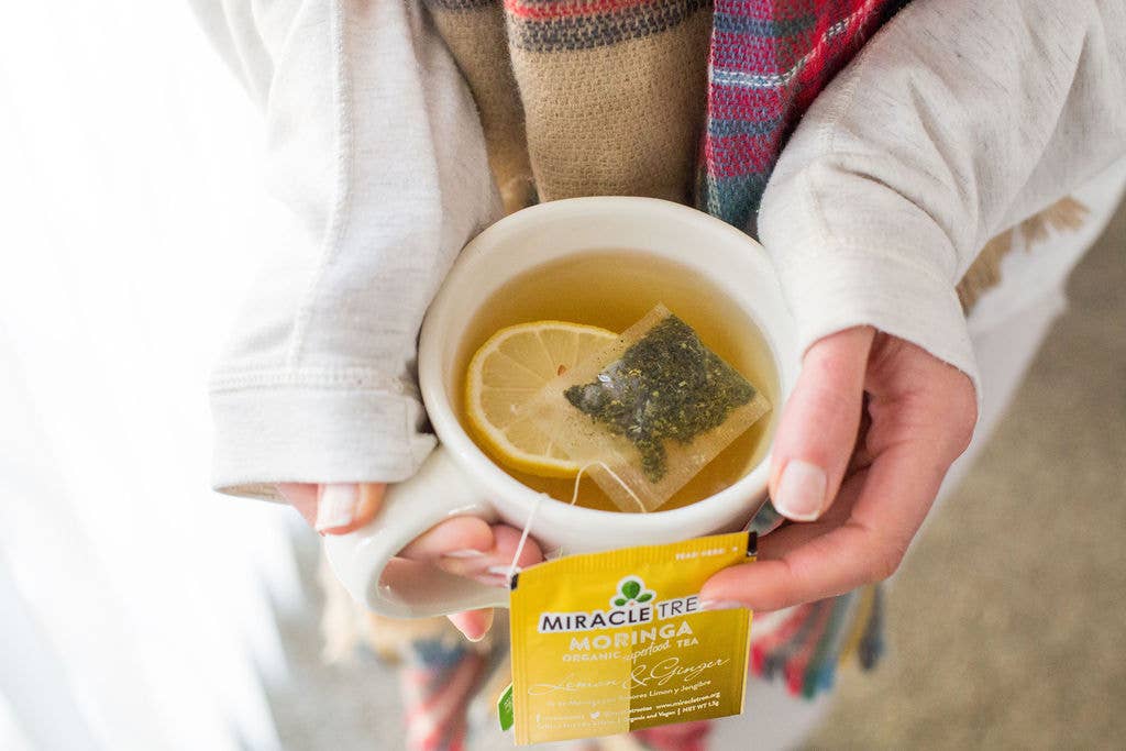 Miracle Tree - Wholesale Tea Bags - Organic Moringa Tea: Lemon & Ginger7