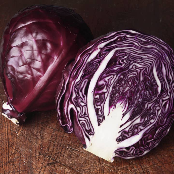 Bentley Seed Co. - Wholesale Plant Seeds - Cabbage-Red Acre 18603