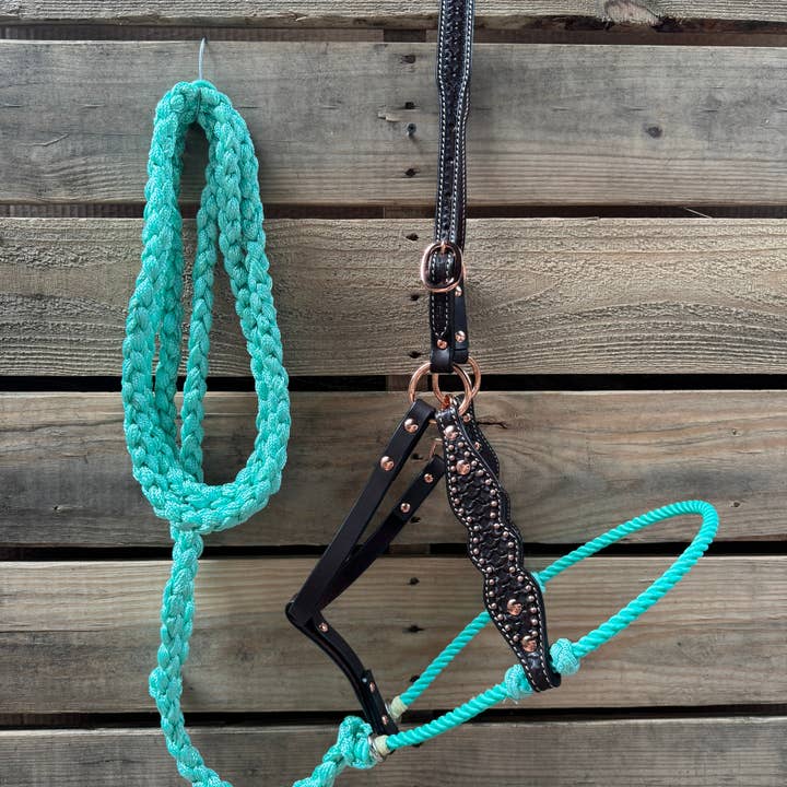 Kombiniertes Halfter aus Lariat und Leder mit Seafoam Honeycomb für den Großhandel von Rodeo Drive