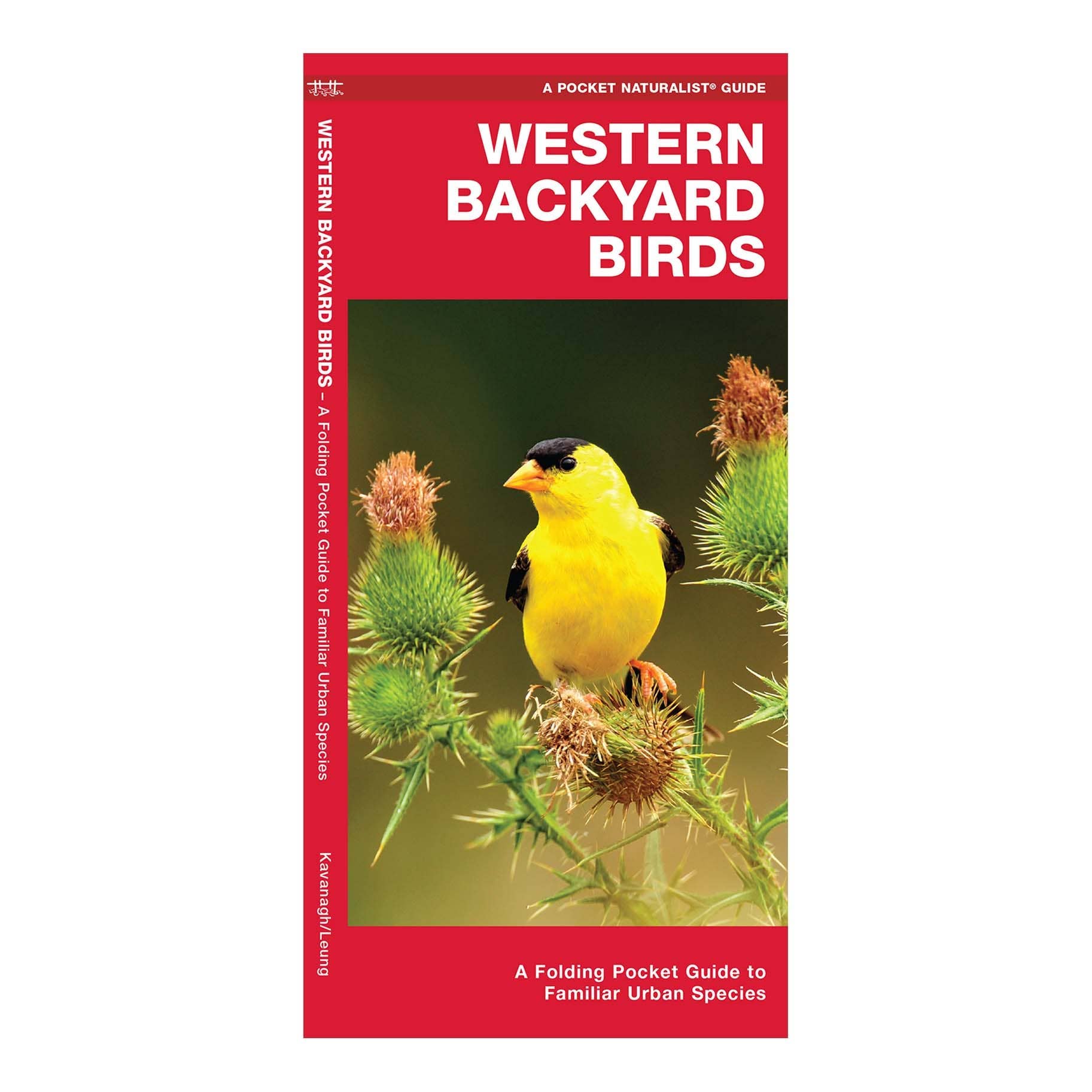 REMOVED BRAND - Wholesale Nature & Outdoors - Western Backyard Birds Nature Guide0