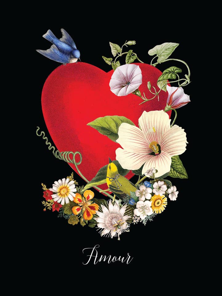 Amour Biglietto di auguri A2 per la vendita all'ingrosso da parte di P. Flynn Design / Phun House