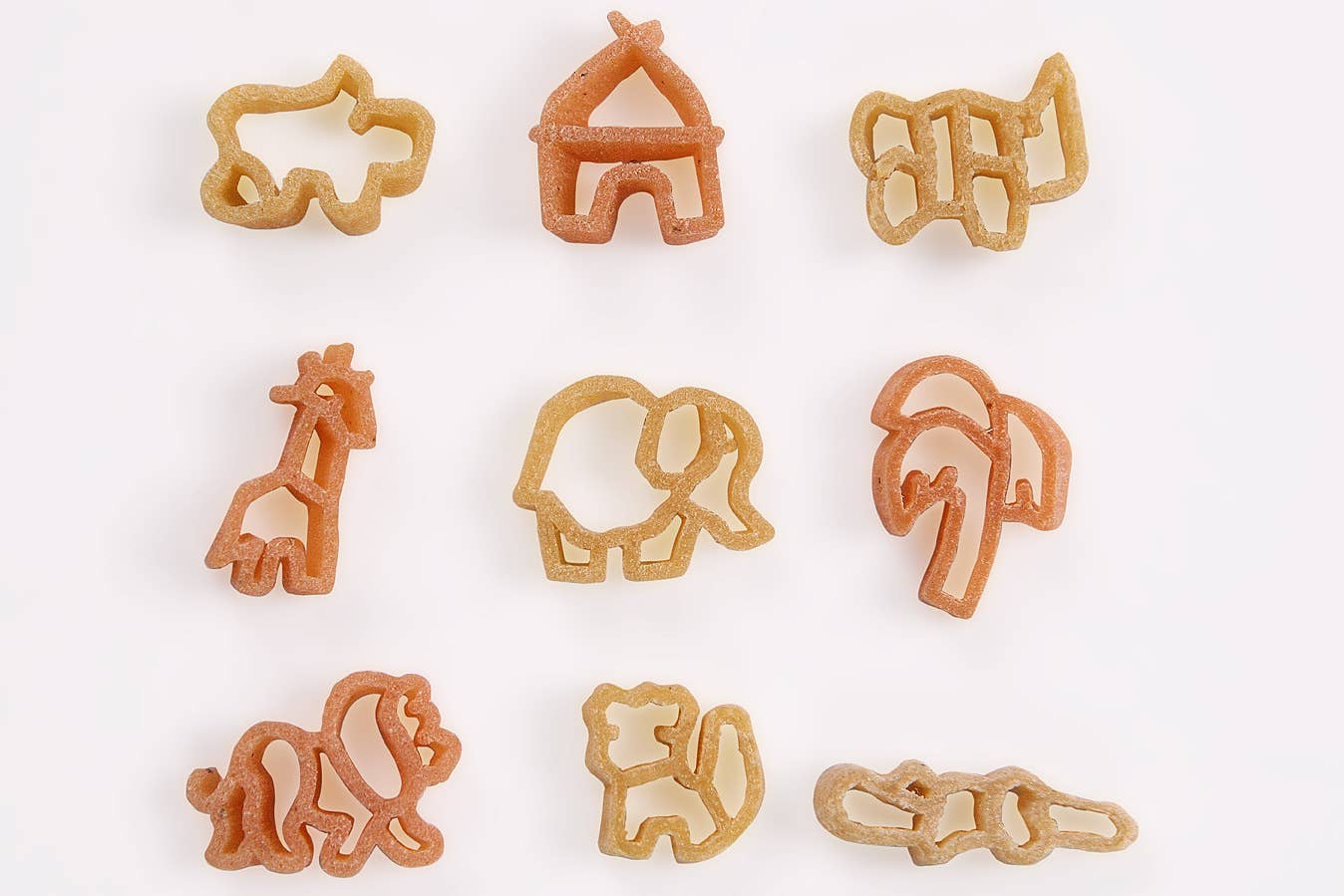 PASTA NATURA - Wholesale Pasta - Shapes of the Savannah Bio & Gluten Free1