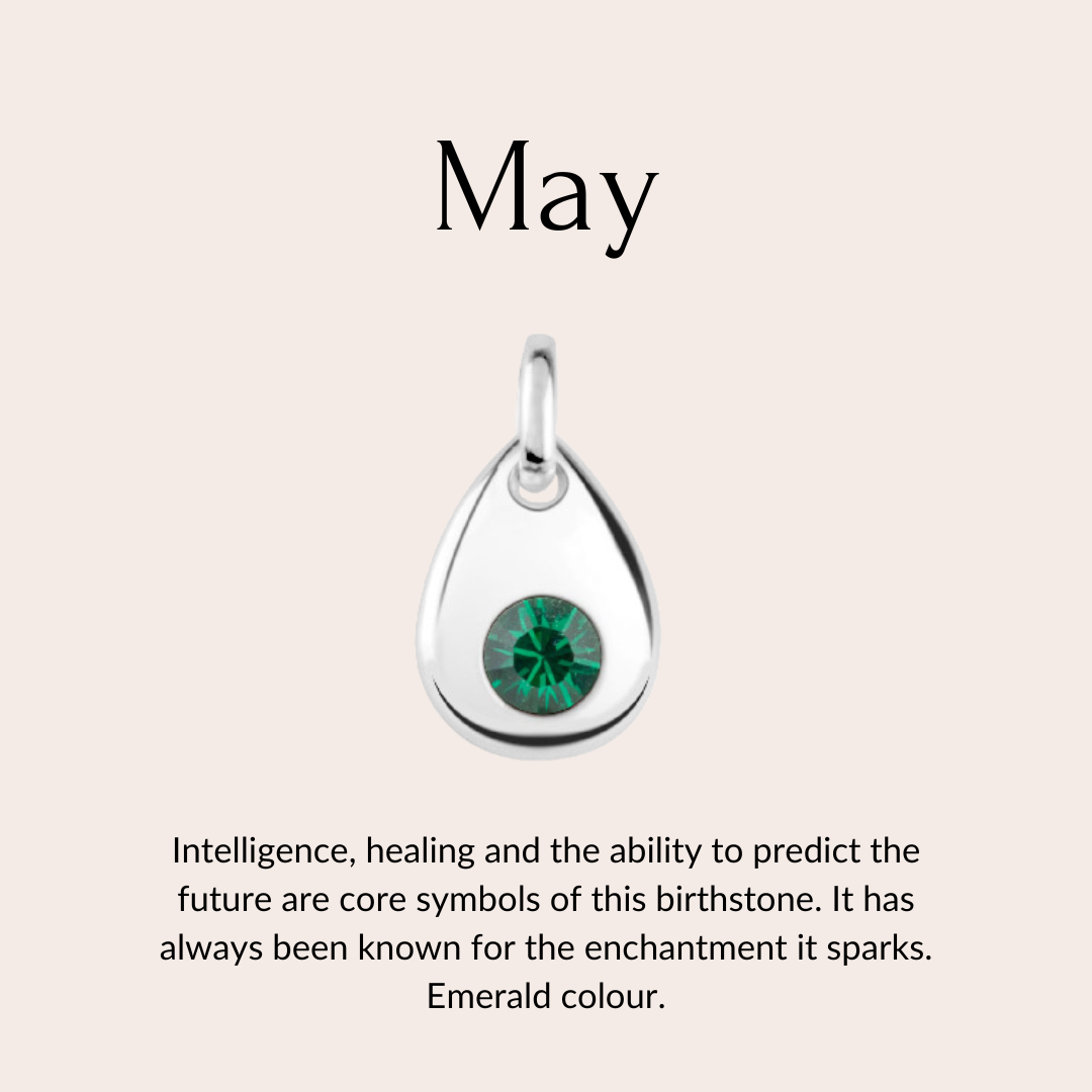 Skylos Collective - Wholesale Pet Collar Charm - Cat/Dog - Sterling silver birthstone collar charm7