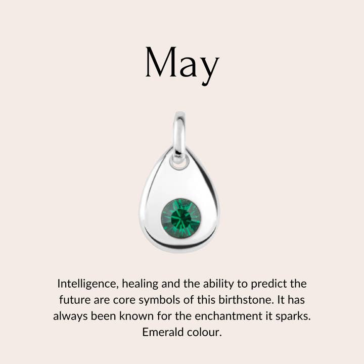 Skylos Collective - Wholesale Pet Collar Charm - Cat/Dog - Sterling silver birthstone collar charm7