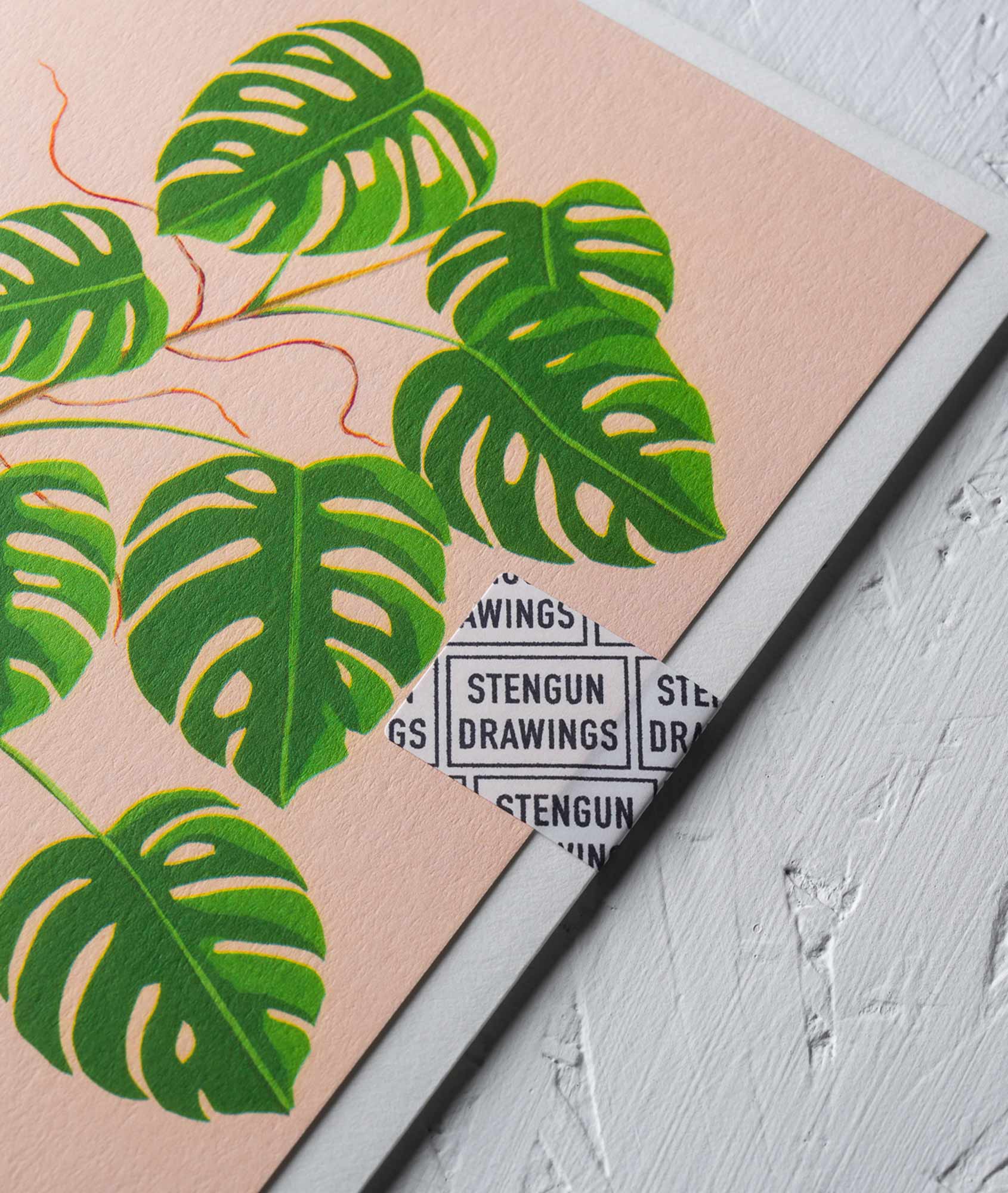 Stengun Drawings – wholesale Everyday greeting card – Monstera Greeting card1