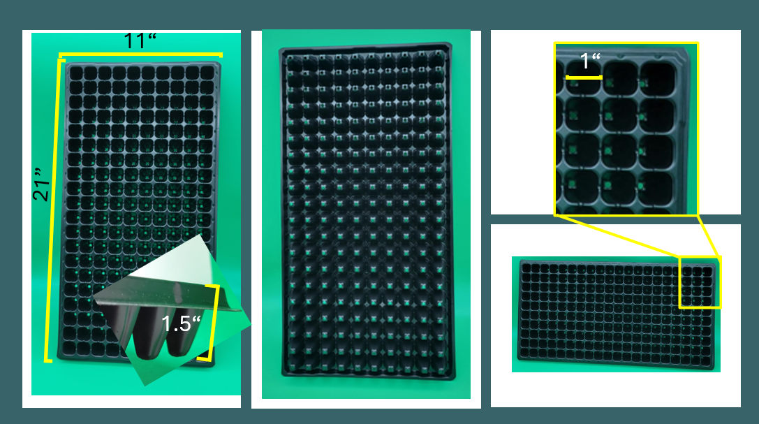 Wise Farmer - Wholesale Planting/Potting Soil - 200 Cell Seedling Trays| Seed Starter Kit Plastic tray0