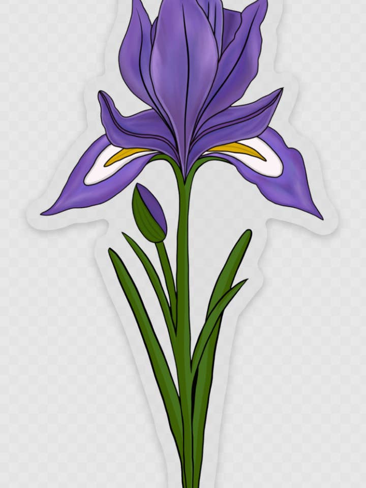 Autocollant transparent en forme de fleur d'iris Douglas pour la vente par Coastal Haze Designs