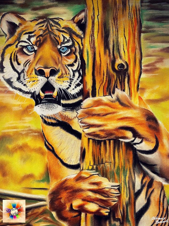 Big Cat Series - 3 of Same Size Or Mixed Sizes for wholesale by SKETCHED PERFECT DESIGNS, LLC