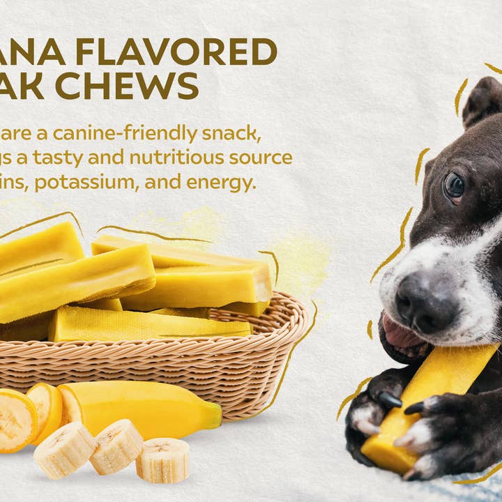 Kathmandu's Authentic Himalayan Cheese Yak Chew - Wholesale Pet Treats - Dog - Fruit Flavored Yak Chews, LRG (one-size)