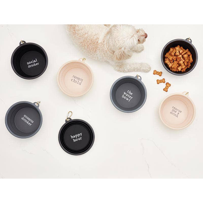 Santa Barbara Design Studio by Creative Brands - Wholesale Pet Bowl - Cat/Dog - Large Collapsible Bowl - Designated2