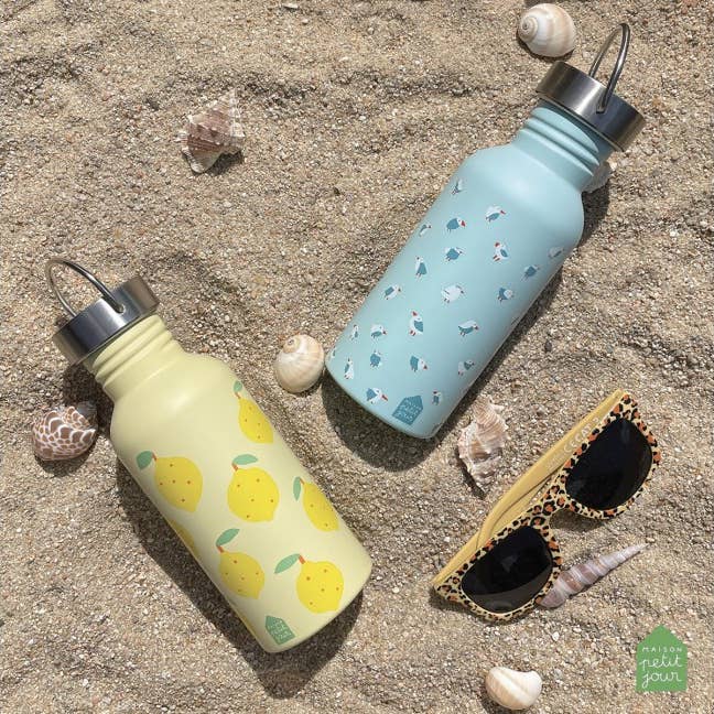 Blue MT790P STAINLESS STEEL WATER BOTTLE LES MOUETTES (0.5L) for wholesale on Faire4