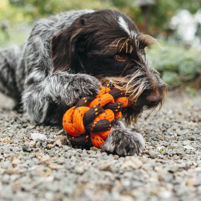 P.L.A.Y. Pet Lifestyle and You - Wholesale Pet Rope Toy - Dog - Honeycomb Rope Toy3