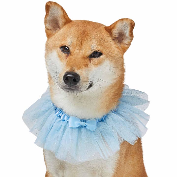 Blueberry Pet - Wholesale Pet collar – Dog - Lace Dog Collar with Embroidered Mesh and Bowtie12