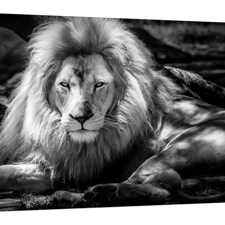 King Art mural sur toile 20" x 22" pour la vente par PTM Images