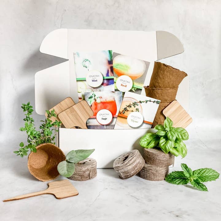 Onatah - Wholesale Plant seeds - Cocktail Herb Garden5