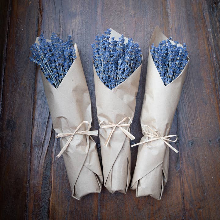 Mills Floral Company - Wholesale Dried/pressed flowers - French Lavender Wrapped in Kraft Paper1