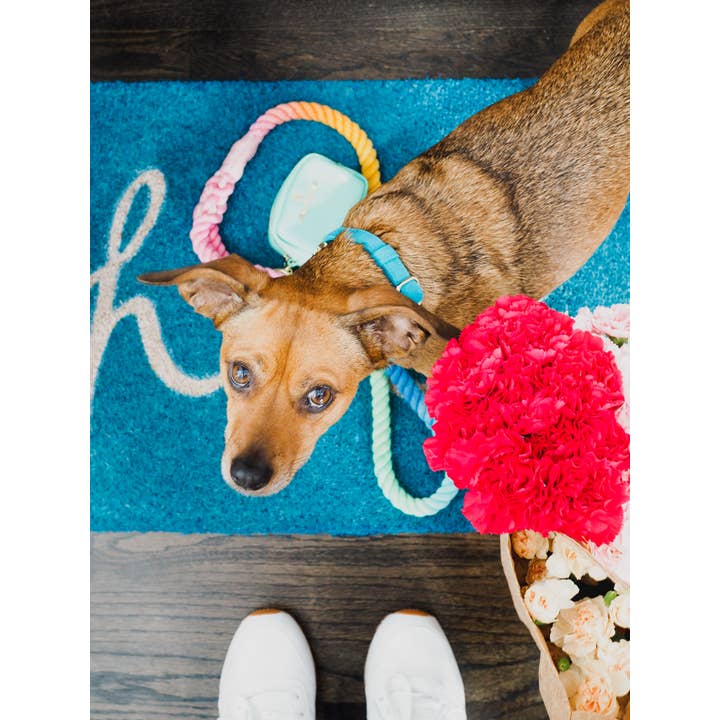 Pink Papyrus | Premium, Durable, & Stylish Dog Products - Wholesale Pet Leash - Dog - Nola Rope Dog Leash | Dog Leash | Rainbow Leash5