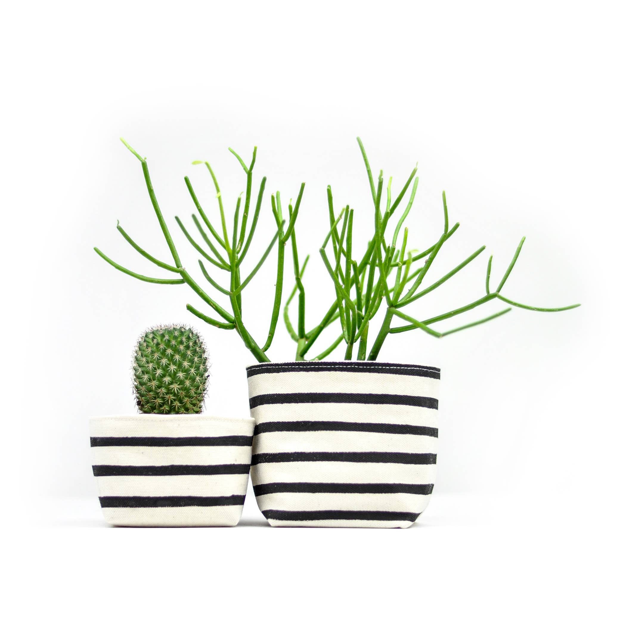 Gray Green Goods - Vendita all'ingrosso Vasi per piante - Fioriera in tela a righe nere, 10,2 cm.3