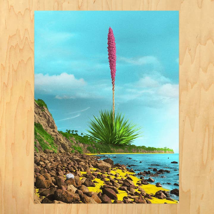 Big Ole Yucca for wholesale by The Sweet Dood