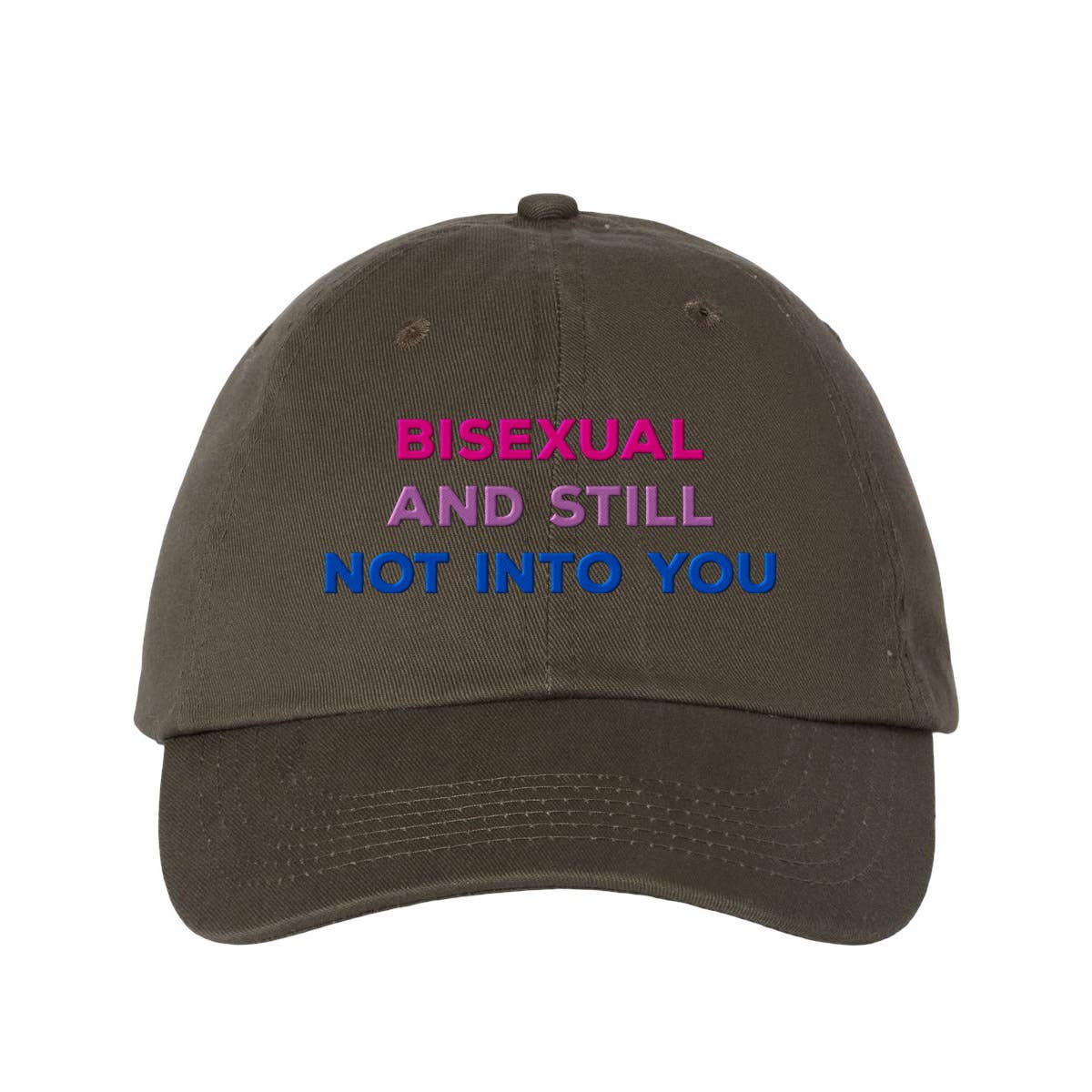 Lucky Luna Apparel - Wholesale Baseball Cap - Women's - Bisexual and Still Not Into You Embroidered Dad Hat5