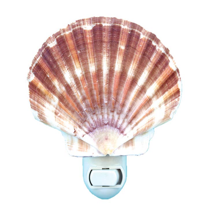 California Seashell Company - Wholesale Night Light - Irish Flat Seashell Night Light