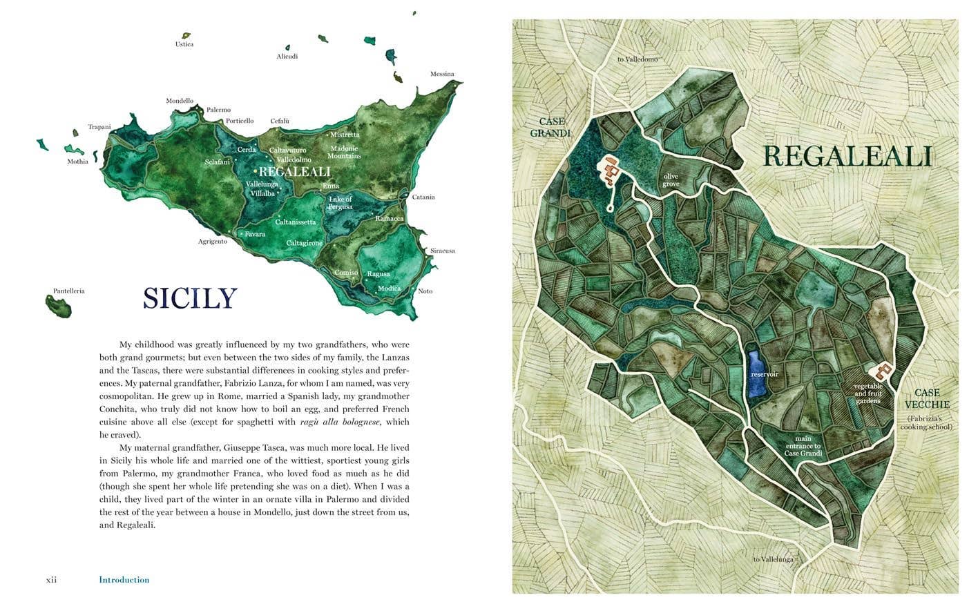 Hachette Book Group - Wholesale Cookbooks & Food - Coming Home to Sicily Cookbook by Fabrizia Lanza3