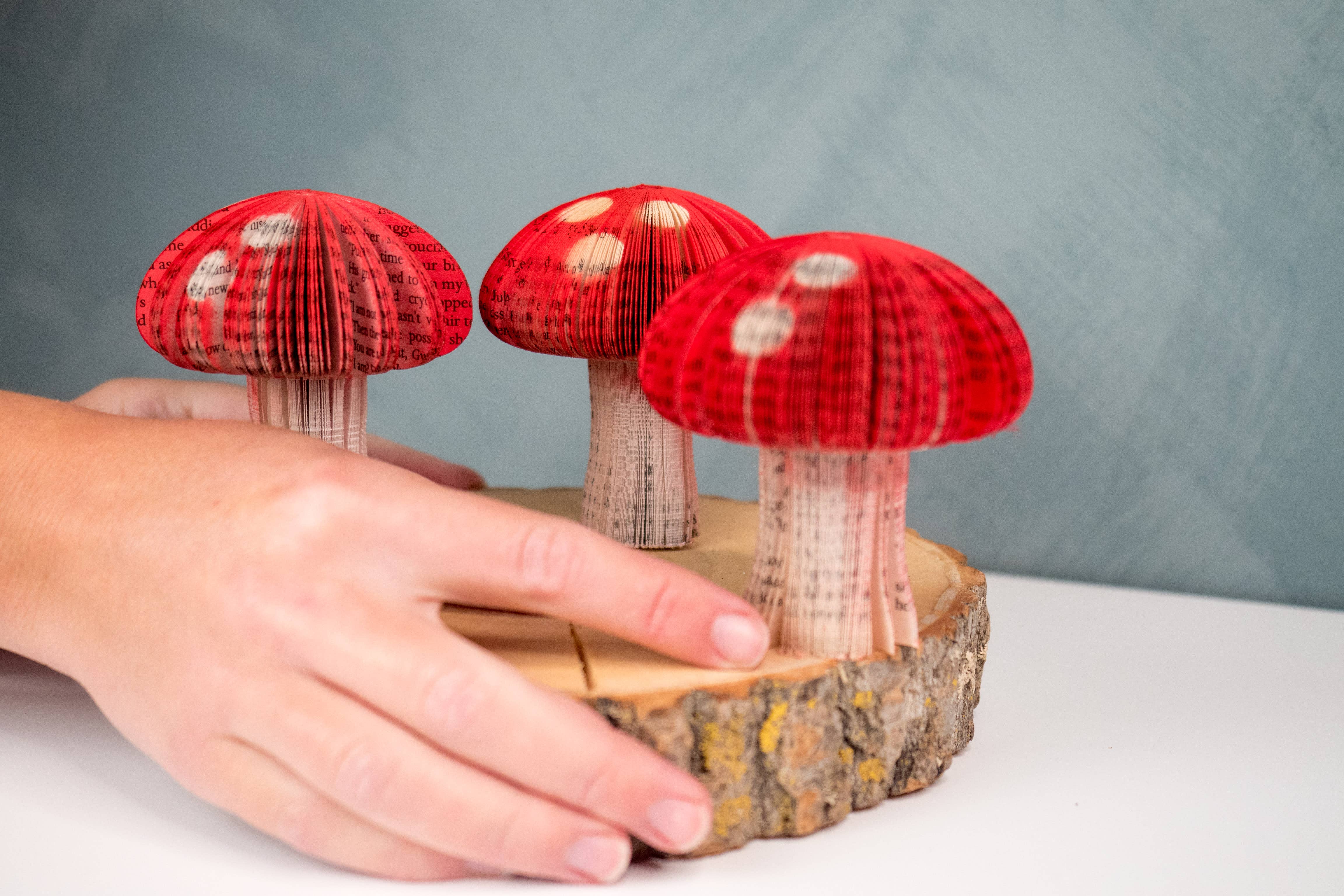 Root To Vine - Vente Décorations de table - Mini-livre, champignons, décoration automnale, décoration d'Halloween2