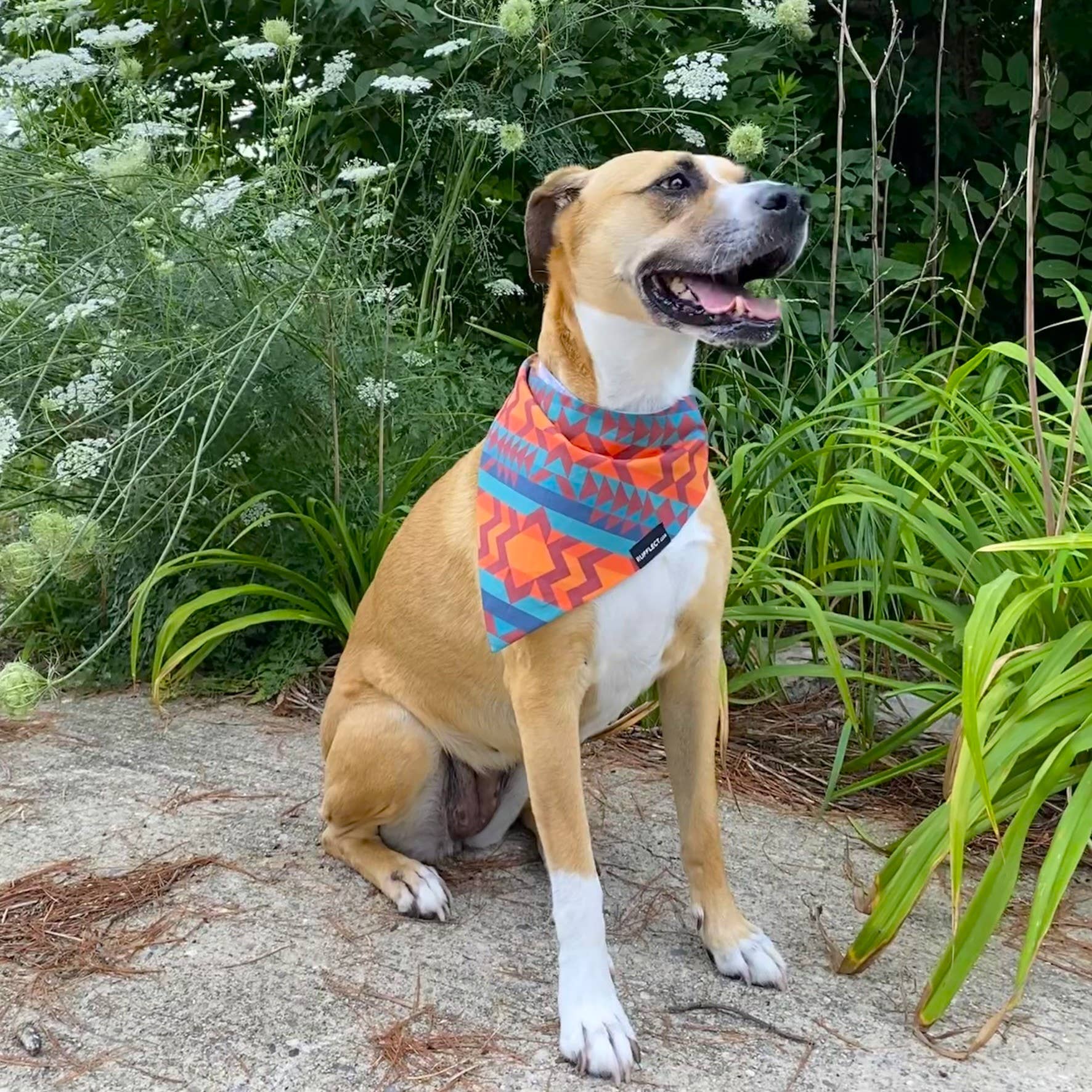 RUFFLECT Dog Bandanas - Wholesale Pet Bandana - Dog - Navajo RUFFLECT® Dog Bandana2