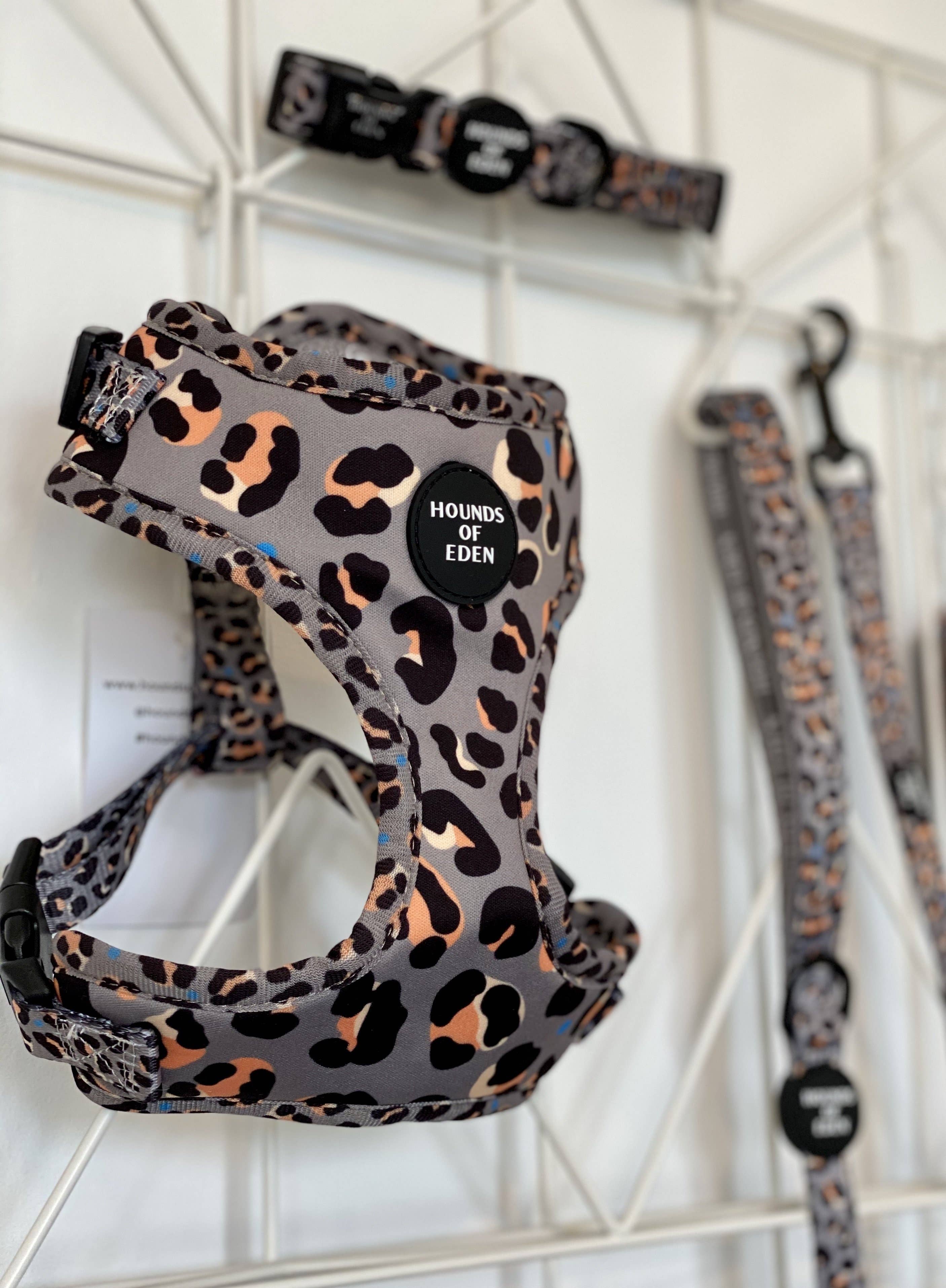 Hounds of Eden – Arnês – Cão por atacado – Steel Leopard - Arnês para cães cáqui/cinza2