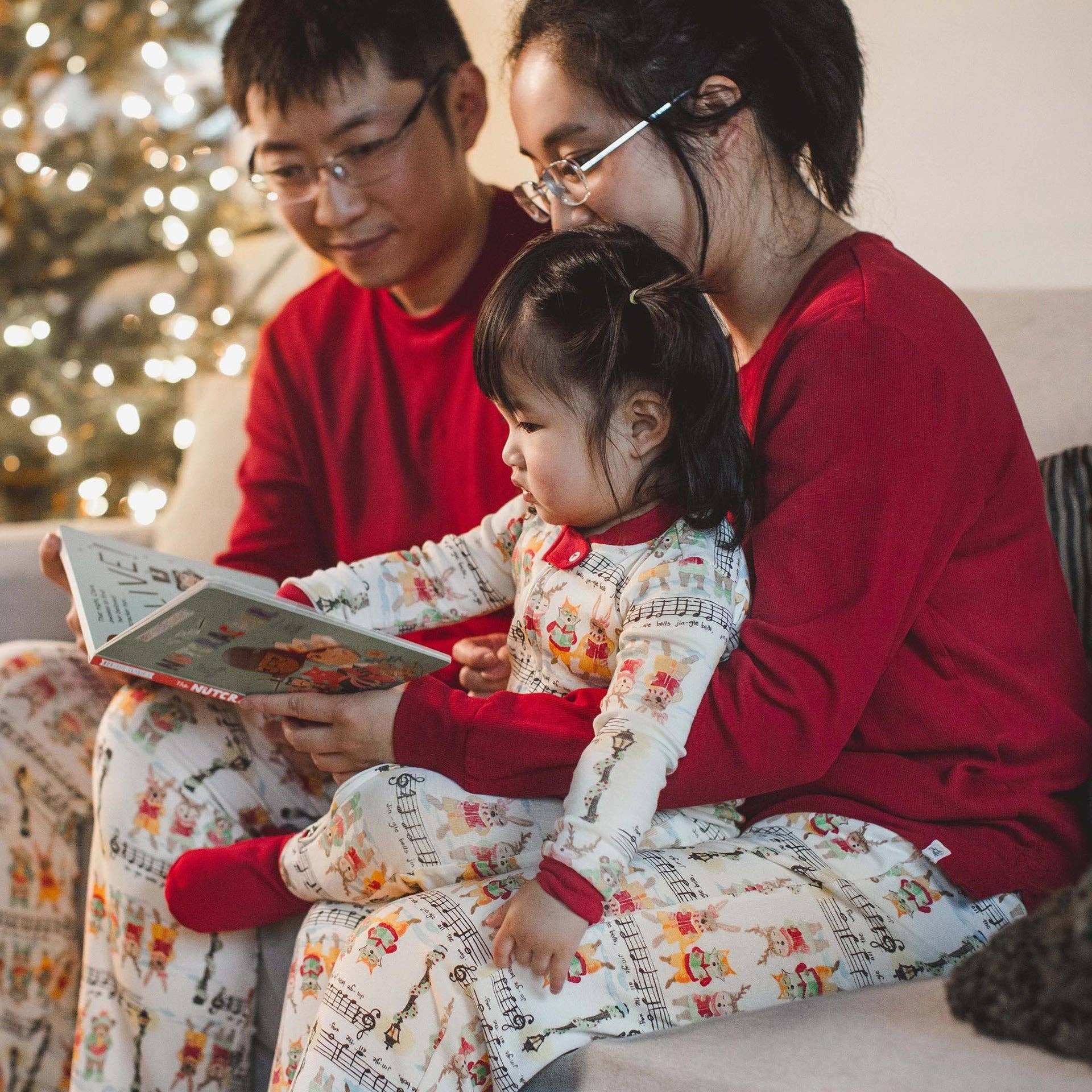 Burt's Bees Baby - Wholesale Sleepwear Set - Unisex - Mens Sweet Carolers Matching Family Pajamas3