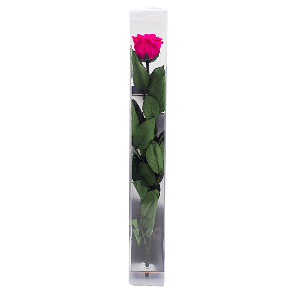 Concari.flores Preservadas - Wholesale Artificial Flowers - ROSE WITH PRESERVED STEM6