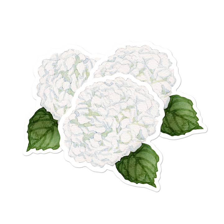 White Hydrangea Place Cards | Set of 8 for wholesale by Ellen Davis Creative