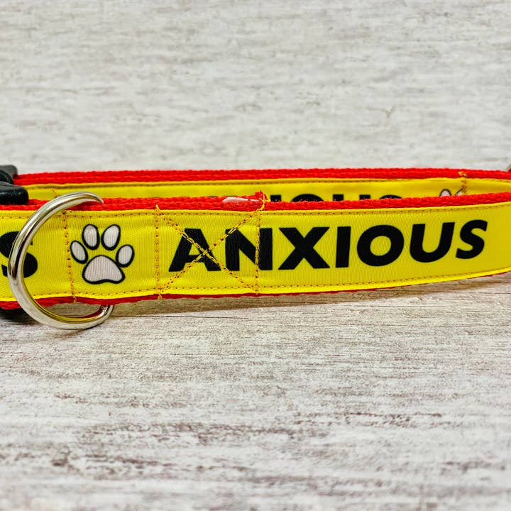 ANXIOUS Dog Collar Alert Collars **Keep Away** **Reactive** for wholesale by Dottie's Pet Boutique