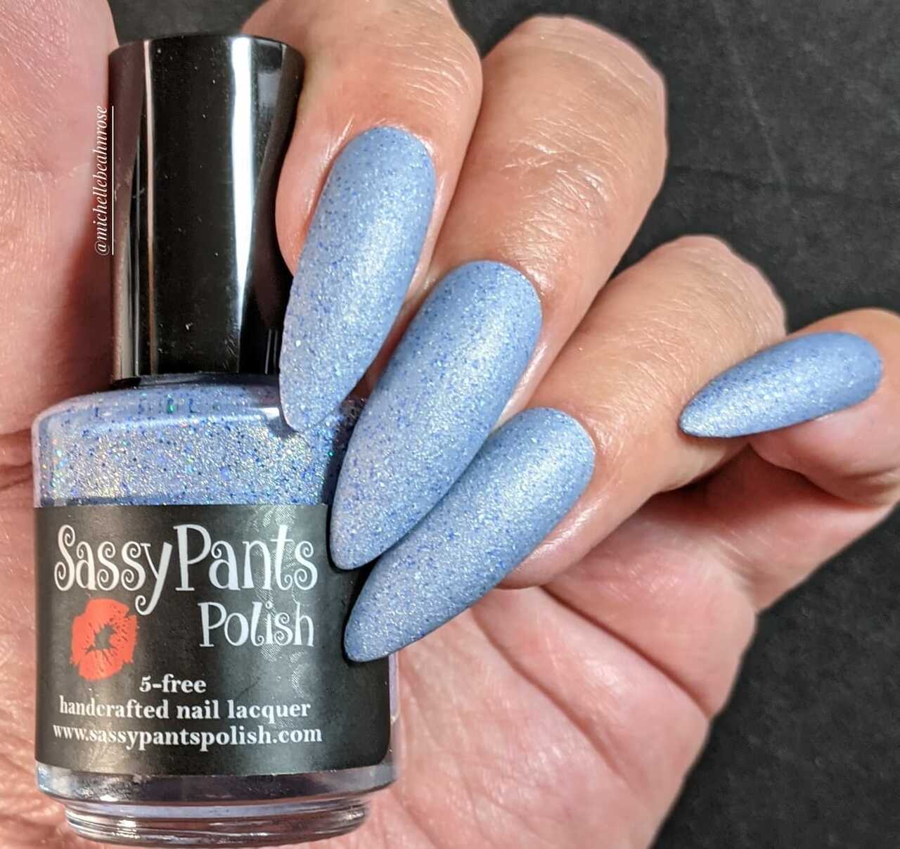Sassy Pants Polish - Wholesale Nail Polish - Delphinium Delight3