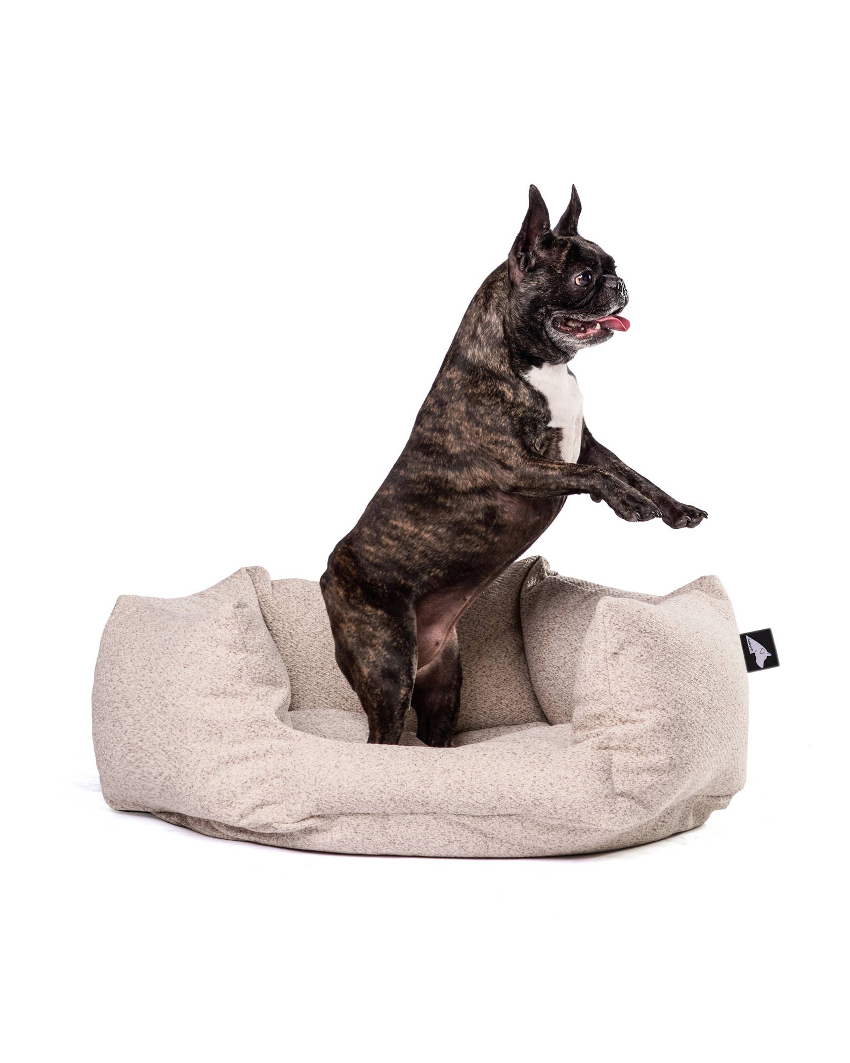 Roxbury PET - Vente Panier – chien - Le Câlineur de Dayton