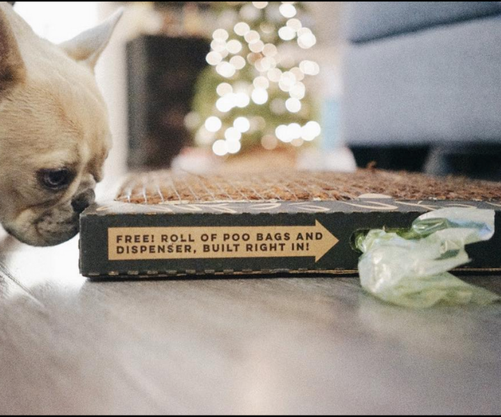 Wallabaga - Vente Tapis – chien - Écorce Pot Standard (24 x 16)7