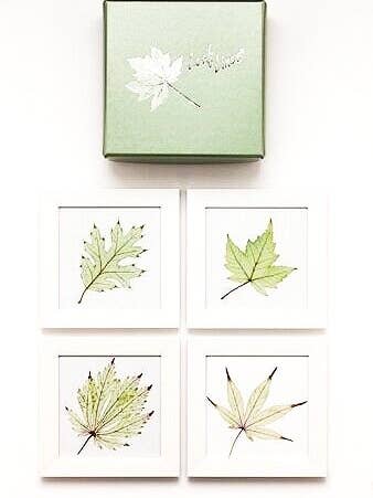 Coasters White for wholesale by Leaf Lines