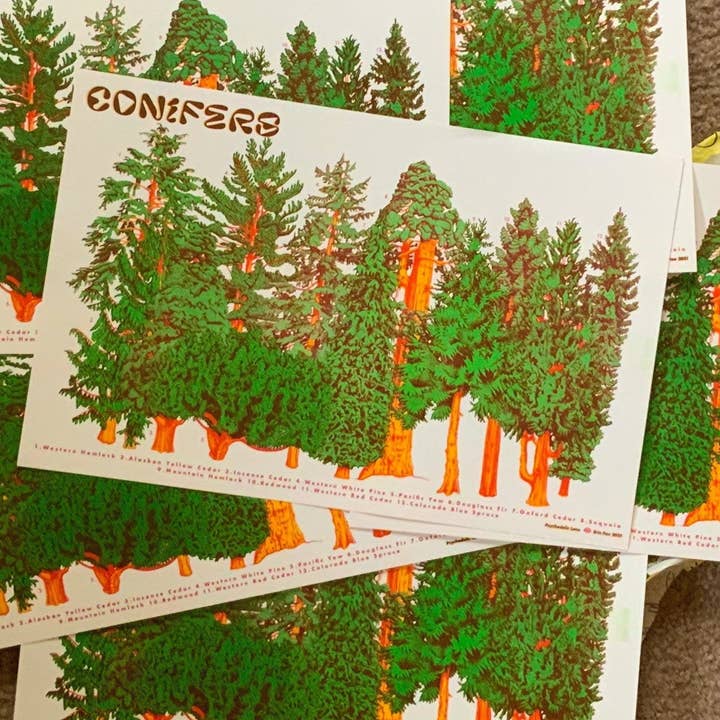 Psychedelic Lens - Wholesale Poster - Conifer Tree Riso Poster