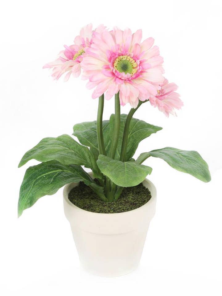 Gerbera rose artificiel de 1 pied pour la vente par Closer2Nature