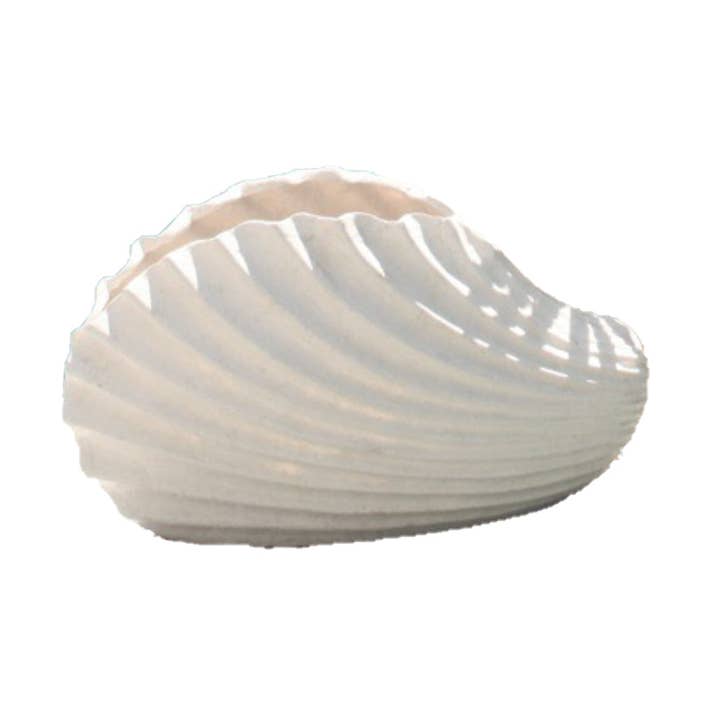 Ocean Blu – wholesale Kruka – Mussla Shell Planter - Liten0