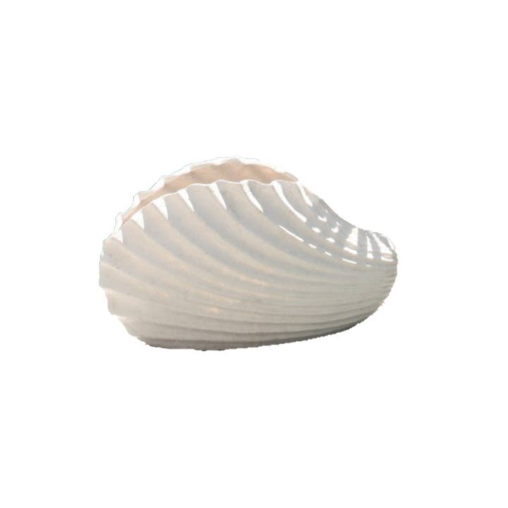 Ocean Blu - Wholesale Plant Pot - Clam Shell Planter - Small