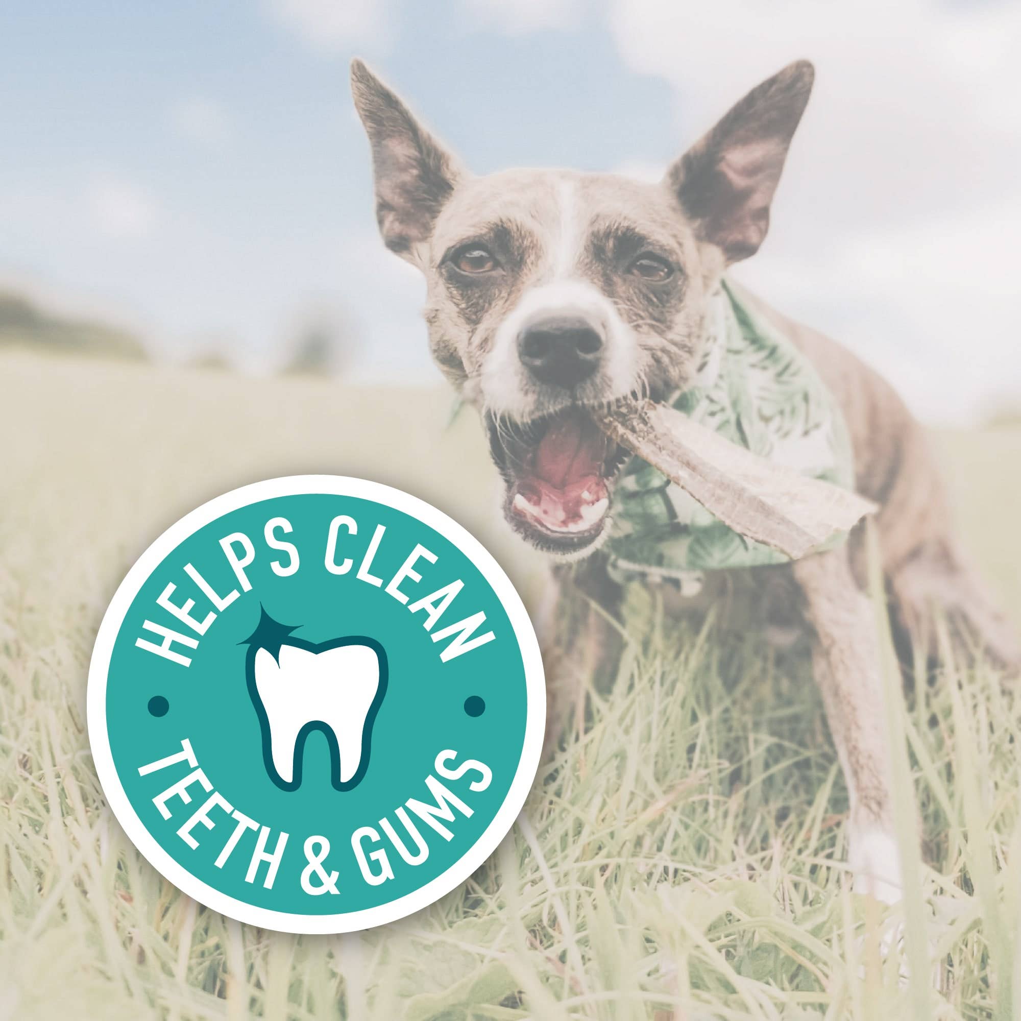 Goodchap's – snacks e guloseimas - Cão por atacado – Pacote Econômico de Dedos de Pele de Peixe | Petiscos e Mordedores para Cães Sem Aditivos3