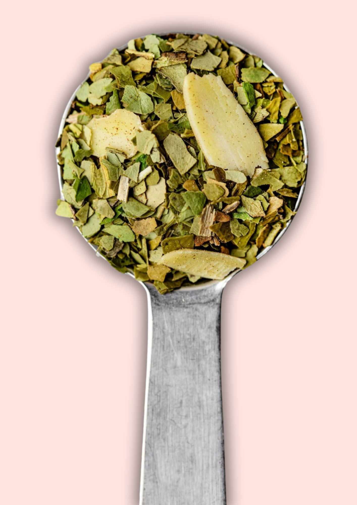 Tea Heritage - Vendita all'ingrosso Tisane salutari e depurative - Maté Bio Daily Boost - 100g0