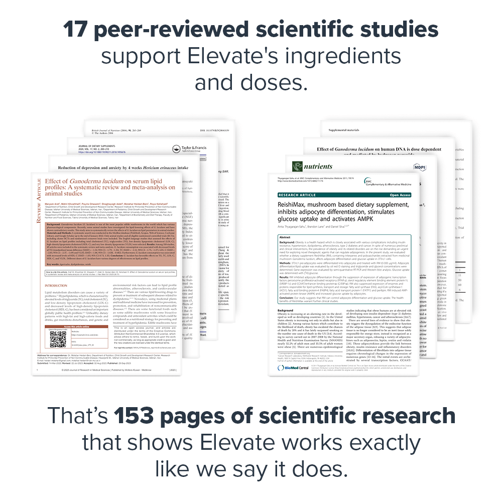 Legion Athletics, Inc. – Suplemento/vitamina oral por atacado – Suplemento de Cogumelo Elevate3